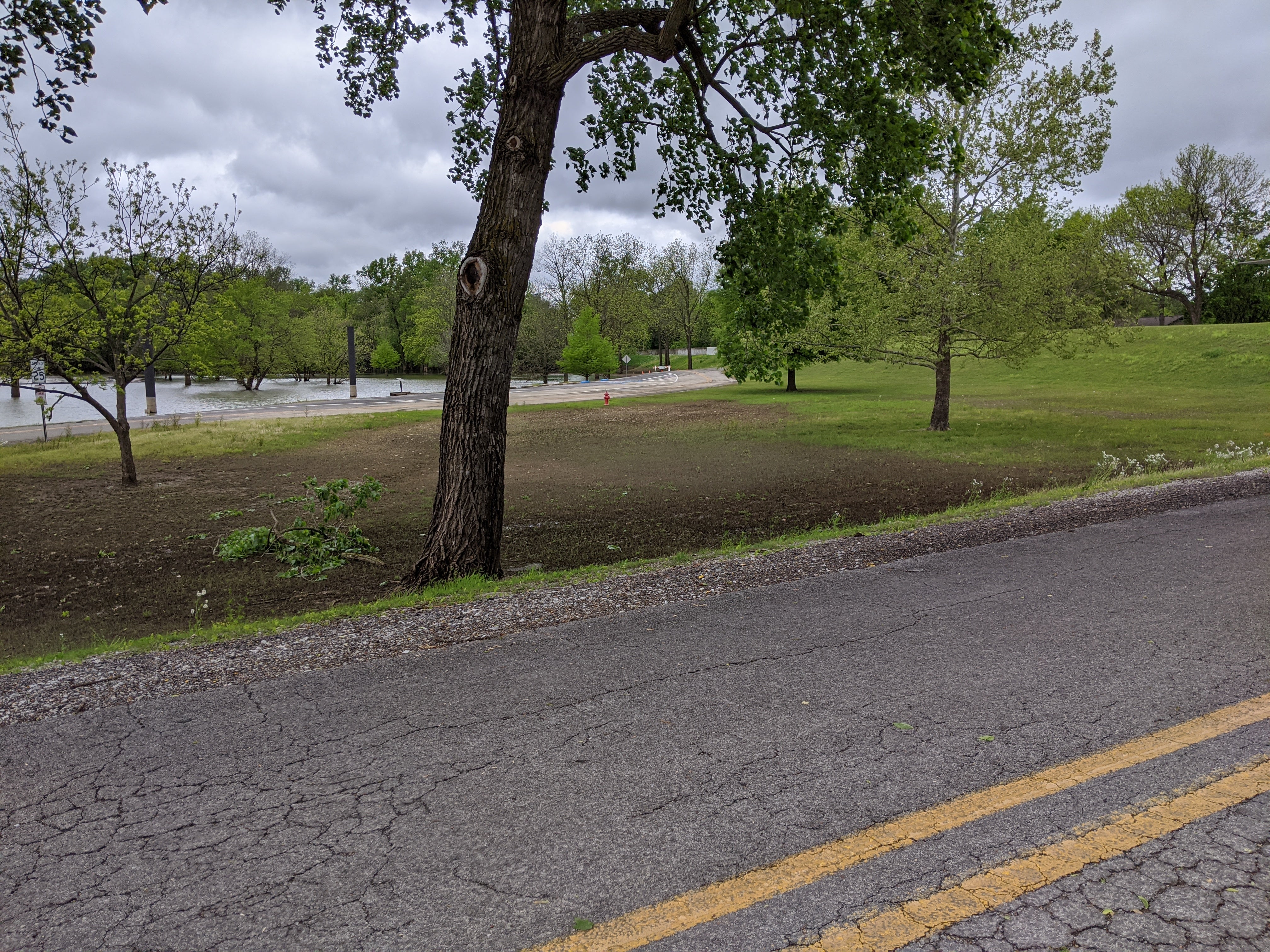a grass-covered hill slopes steeply down to an asphalt road next to the river]